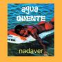 NadaVer