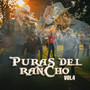 Puras del Rancho, Vol. 4 (En Vivo)