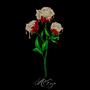 White Gold Roses 3 (Explicit)