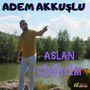 Aslan Gibiyim