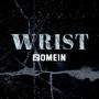 Wrist (feat. idontknow) [Explicit]