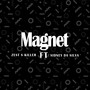 Magnet