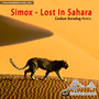 Lost In Sahara
