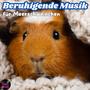 Meerschweinchen Beruhigungsmusik | Entspannende Musik für aufregende Tage