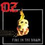 Fire in the Brain