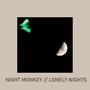 Lonely Nights