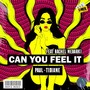 Can You Feel It (Radio-Edit)