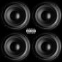 Hollywood Hoes (feat. Lorskai) [Explicit]