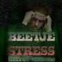 Beetje stress (Explicit)