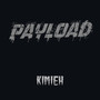 Payload