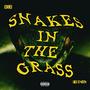 Snakes In The Grass (feat. E. Nos) [Explicit]