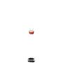 DRUMMAMANE FREESTYLE (Explicit)