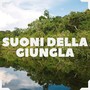 Suoni della giungla: Animali tropicali, magica atmosfera e sottofondo musicale