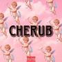 Cherub (feat. $hin3) [Explicit]