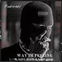 Way im feeling (feat. King hood & Feddi paperchase) [Explicit]