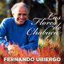 Fernando Ubiergo... Las Flores de Chabuca