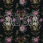 SAD BOY (feat. YOKOCAINE & BBY BLIKKO) [Explicit]