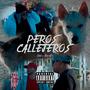 Perros Callejeros (Explicit)