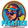 Pegatech