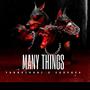 Many things (feat. Corvusa)