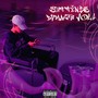 Settings Damage, Vol. 1 (Explicit)