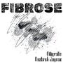 Fibrose (feat. Nazbrok Jaynaz) [Explicit]