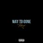 Way To Gone (feat. Cameron White & A.B.) [Remix] [Explicit]