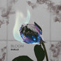 BLOOM (Explicit)