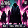 Multi Phase Project 2 (Explicit)