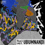 Ubumnandi