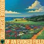 Descriptions of an Evoked Field