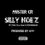 Silly Hoe'z (feat. Tylo ( Tiny Amp ) & Kariminal) [Explicit]