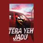 Tera Yeh Jadu (feat. Irfan Chaudhry)