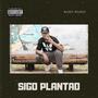 Plantao