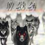 17-23-24 (Explicit)