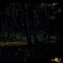 Jonaki | জোনাকি (feat. Fahmida Nabi & Shuvendu Das)