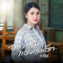 อยากลืมแฮ่งตื่มฮัก - Single