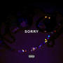 SORRY (Explicit)