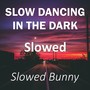 Slow Dancing in the Dark Slowed (Remix) [Explicit]