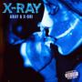 X-RAY (Explicit)