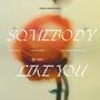 Somebody Like You