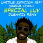 Special Luv (feat. Skarra Mucci) [Dubmatix Remix]