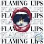 Flaming Lips (...get jumped in) (feat. Coughy Bitters, samsraps, Grant Fore, Paulo, Class_Sick & UGGGY) [Explicit]