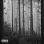 Forest (Explicit)