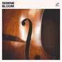Serene Bloom: Jazz Songs Collection