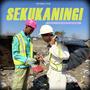 Sekukaningi (feat. Tee Ooh, Junior & Ntura)