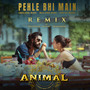 Pehle Bhi Main Remix