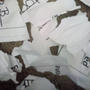 Torn To Pieces (Explicit)