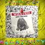 Fugitive Of Negativity (Explicit)