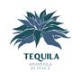 Tequila (feat. Stav Z)